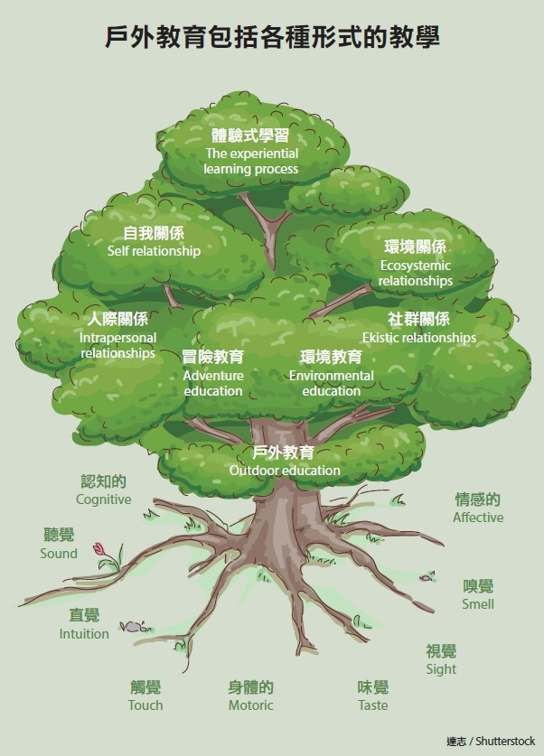 2018-05-29-1527573348.jpg#s-602,837