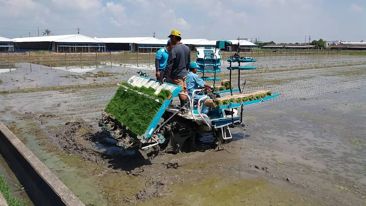 maxresdefault.jpg#s-1280,720