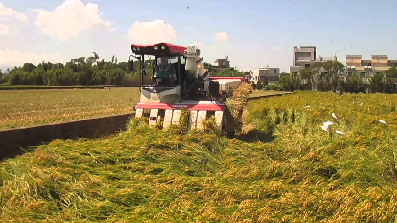 maxresdefault.jpg#s-1280,720