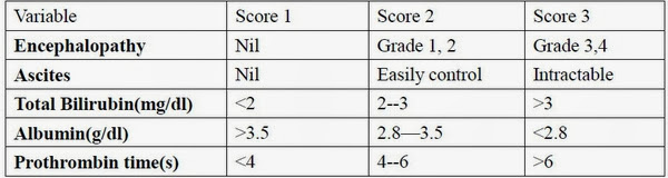 4bf02ceb9fe91.jpg#s-600,160