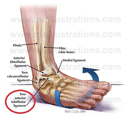 2010780338zKGWfX3O.jpg#s-450,410