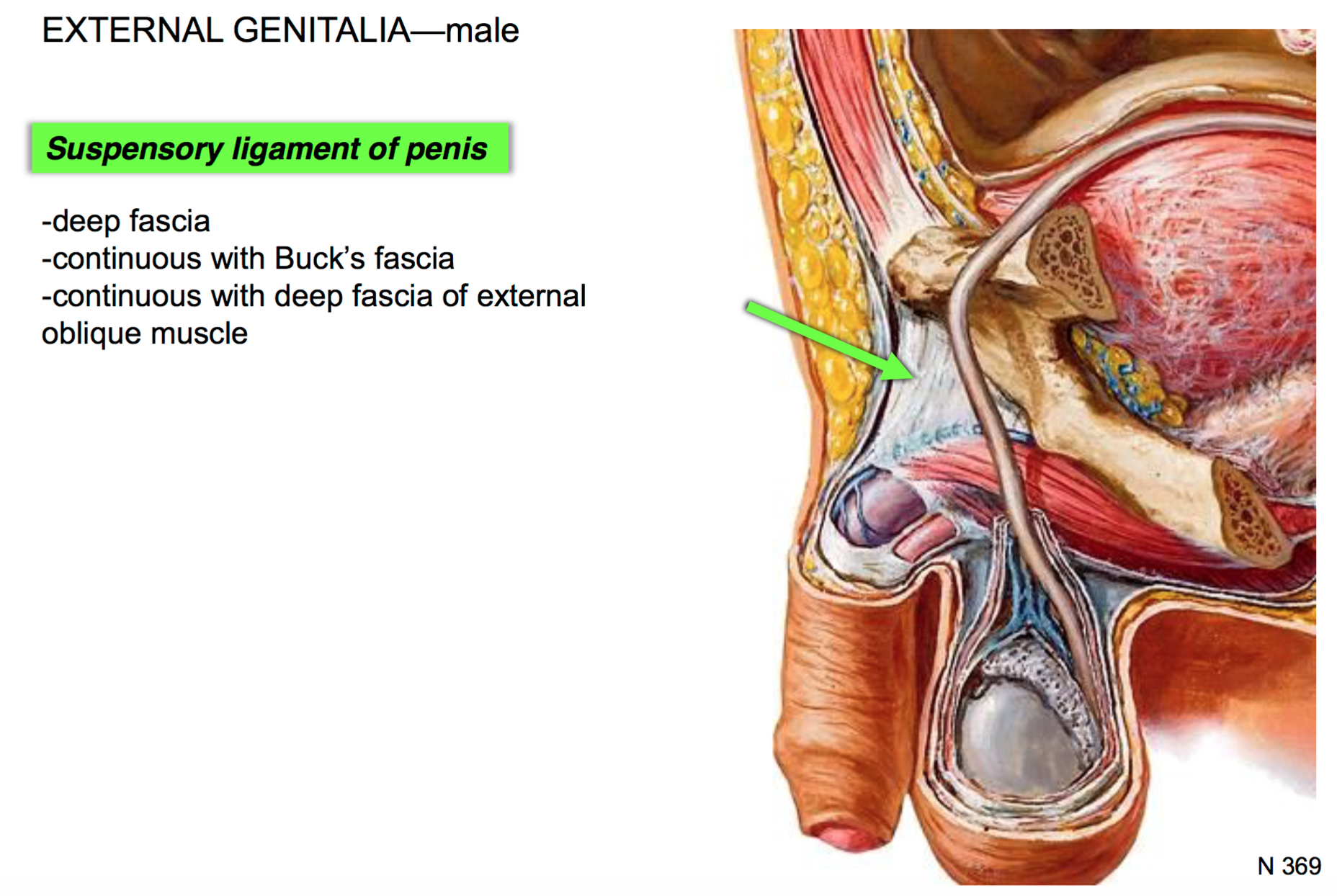 805b262a1c3d9895a76416ca140971b0e75ffd38