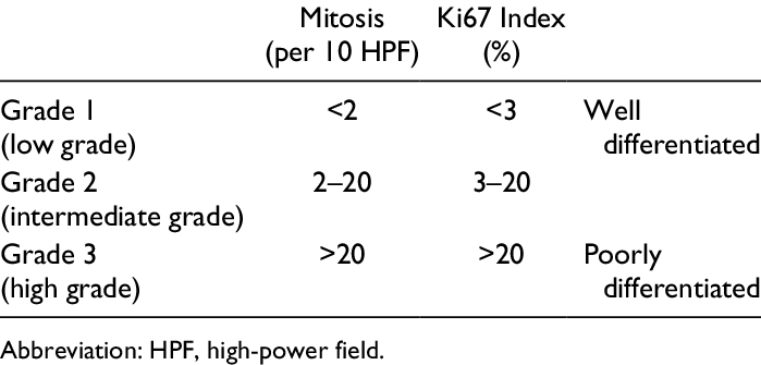 Pancreatic-Neuroendocrine-Tumors-Grading-Scheme-According-to-World-Health-Organization.png