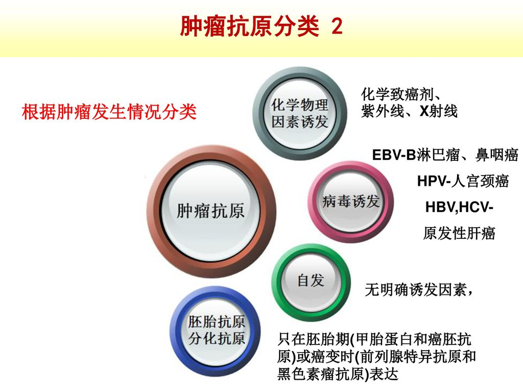 %E8%82%BF%E7%98%A4%E6%8A%97%E5%8E%9F%E5%88%86%E7%B1%BB+2+%E6%A0%B9%E6%8D%AE%E8%82%BF%E7%98%A4%E5%8F%91%E7%94%9F%E6%83%85%E5%86%B5%E5%88%86%E7%B1%BB+%E5%8C%96%E5%AD%A6%E8%87%B4%E7%99%8C%E5%89%82%E3%80%81%E7%B4%AB%E5%A4%96%E7%BA%BF%E3%80%81X%E5%B0%84%E7%BA%BF+EBV-B%E6%B7%8B%E5%B7%B4%E7%98%A4%E3%80%81%E9%BC%BB%E5%92%BD%E7%99%8C+HPV-%E4%BA%BA%E5%AE%AB%E9%A2%88%E7%99%8C+HBV%2CHCV-+%E5%8E%9F%E5%8F%91%E6%80%A7%E8%82%9D%E7%99%8C.jpg