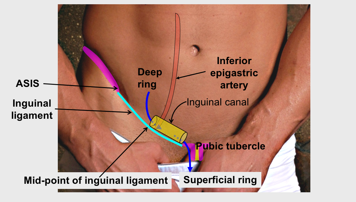 33723def19577f7508c166dbb41836c4caf1e670