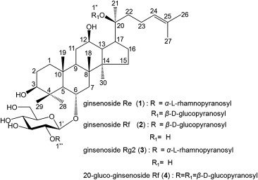 Chemical-structures-of-ginsenosides-Re-1-Rf-2-Rg2-3-and-20-gluco-Rf-4-from-the.png