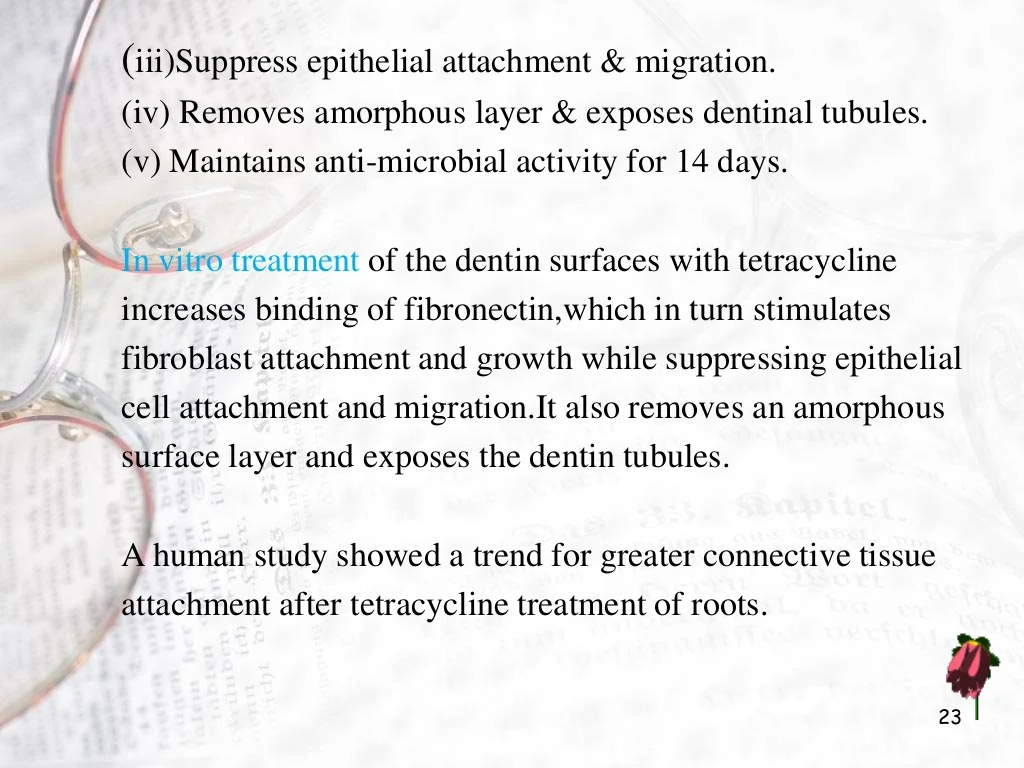 root-biomodification-23-1024.jpg?cb=1572965690