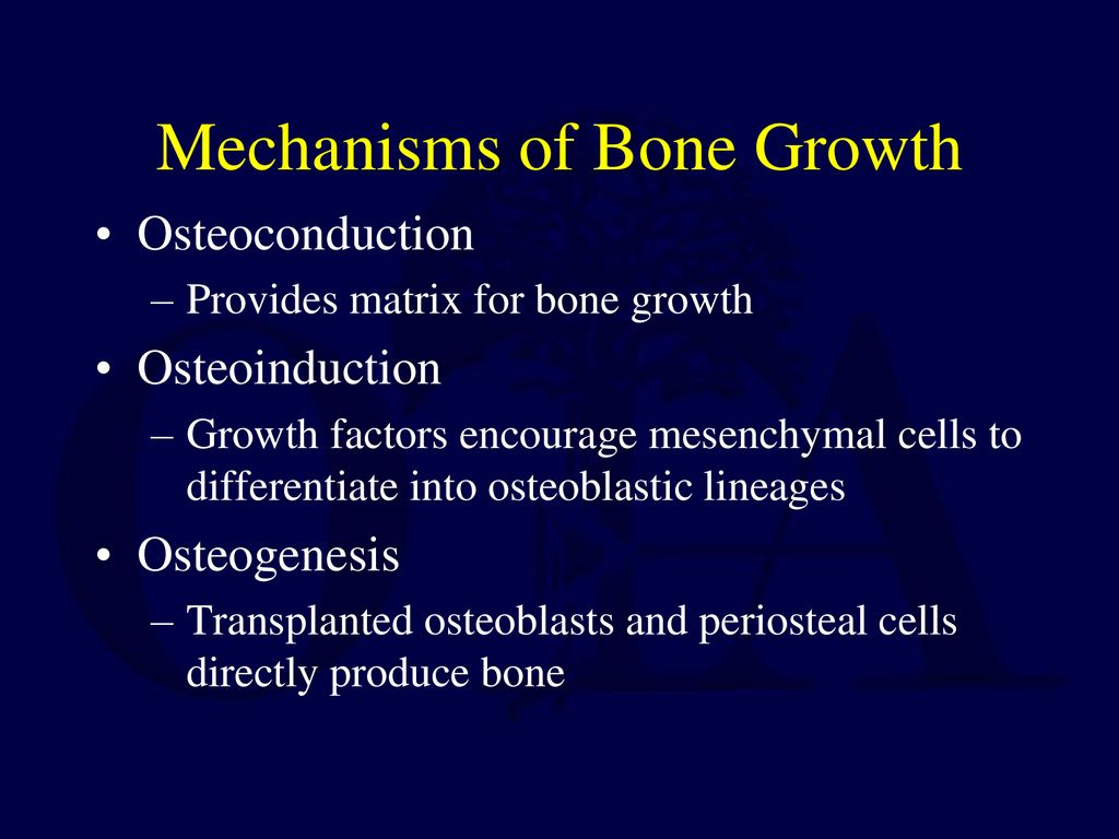 Mechanisms+of+Bone+Growth.jpg