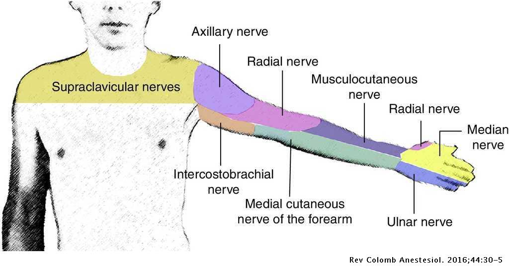 2kynuR73qSK+GYDdJIjeW4ZmPu820GsTGqC1zQ30=
