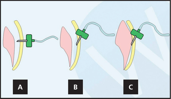 handler.ashx?imgid=1810992&w=550