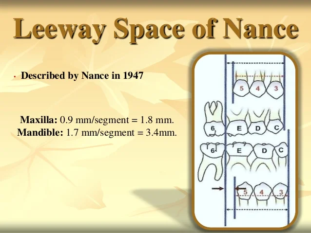 development-of-occlusion-47-638.jpg?cb=1392809893