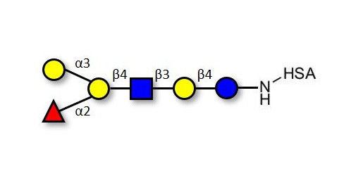 sialic-acid-n-acetylneuraminic-acid-80-nmr.jpg
