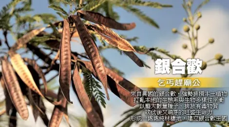 wp_550.jpg?resize=470%2C260