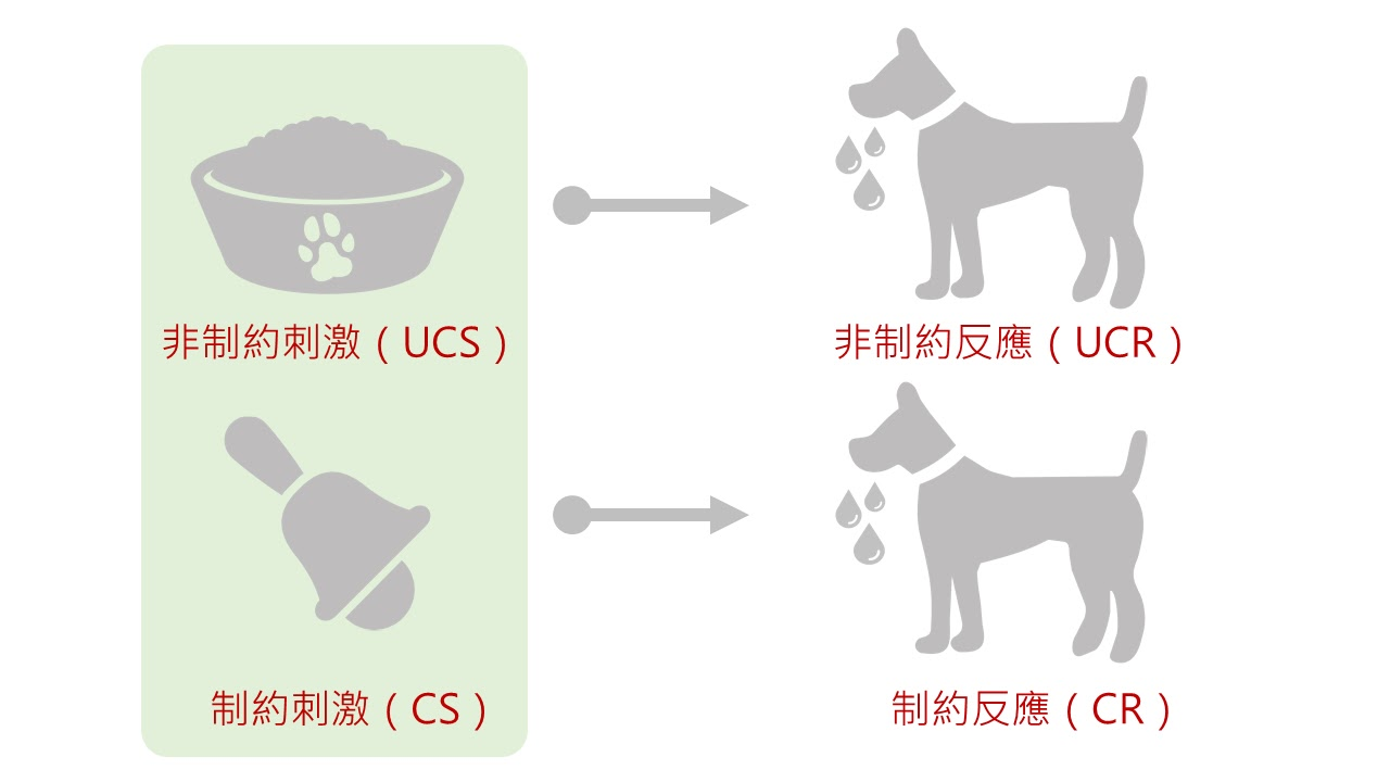 心適所在。林俊成(Jason)臨床心理師: 制約學習的誘發：咖啡店忽略的消費者心理歷程