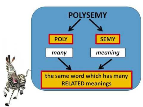 What are five examples of polysemy? - Quora