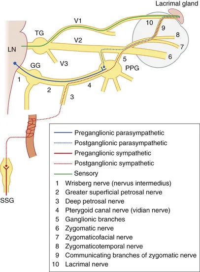 image01803.jpeg?zoom=1.5&w=960