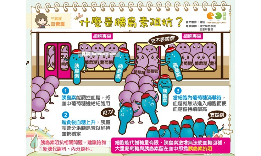 什麼是胰島素阻抗