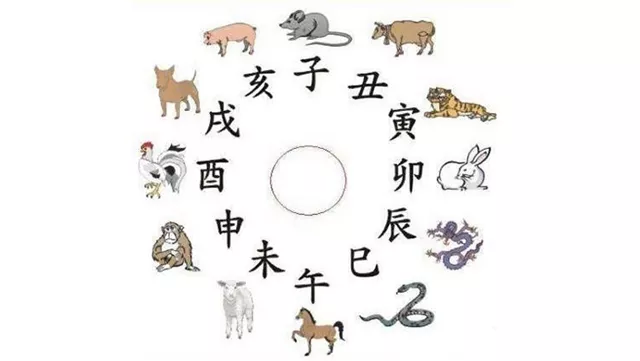 十二生肖與天干地支間的對應關系