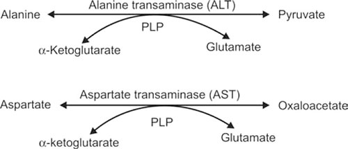 JaypeeDigital | eBook Reader
