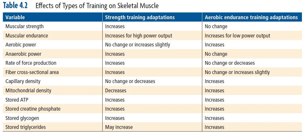 Time Course of Physiological and Anatomical Changes
