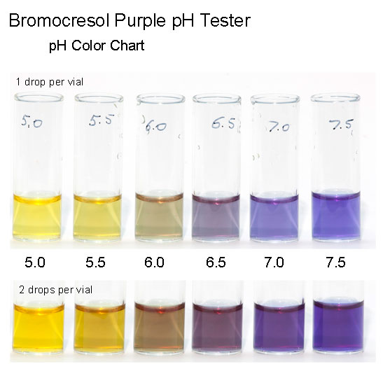 Bromocresol Purple pH Tester