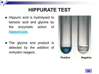 Medical Microbiology Laboratory (biochemical tests - i)