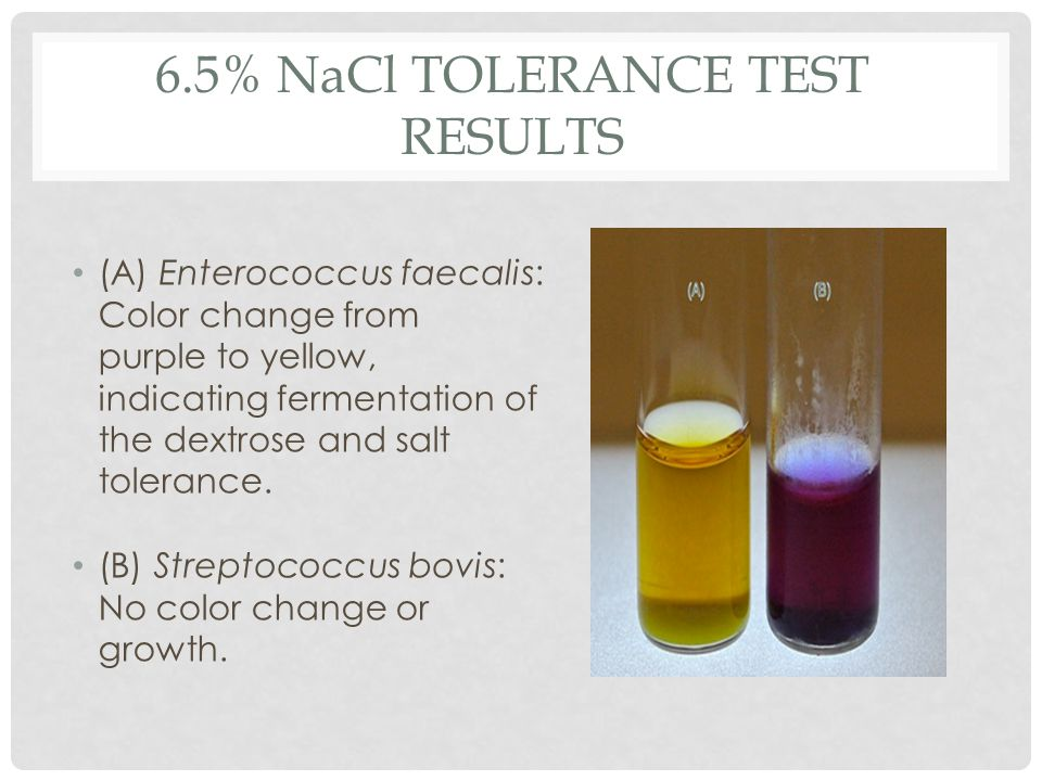 6.5%25+NaCl+Tolerance+Test+Results.jpg