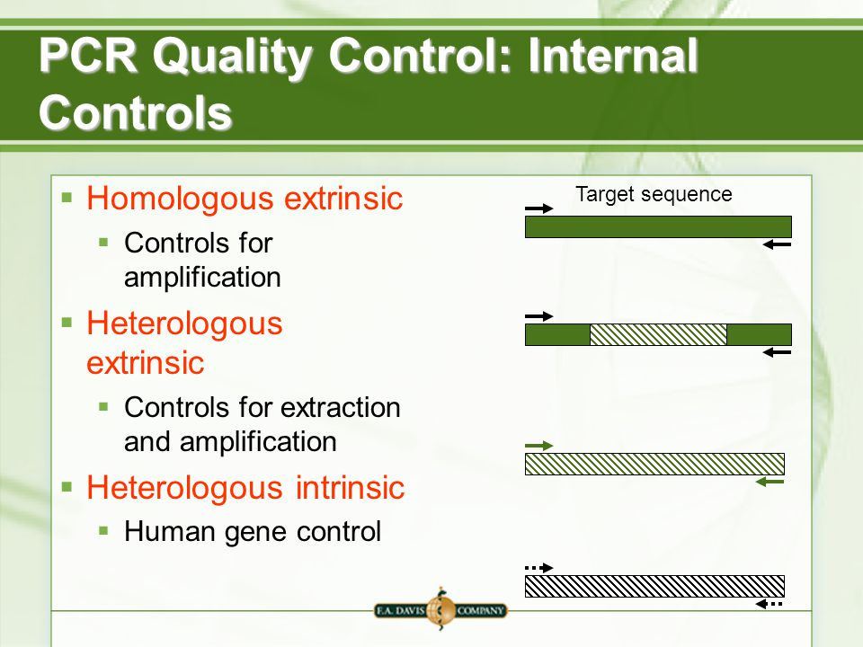 PCR+Quality+Control%3A+Internal+Controls.jpg