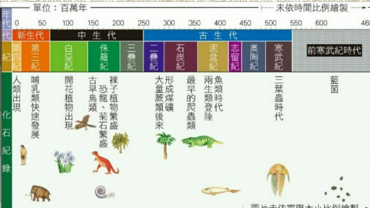 古生代」的「新生代」 | PeoPo 公民新聞