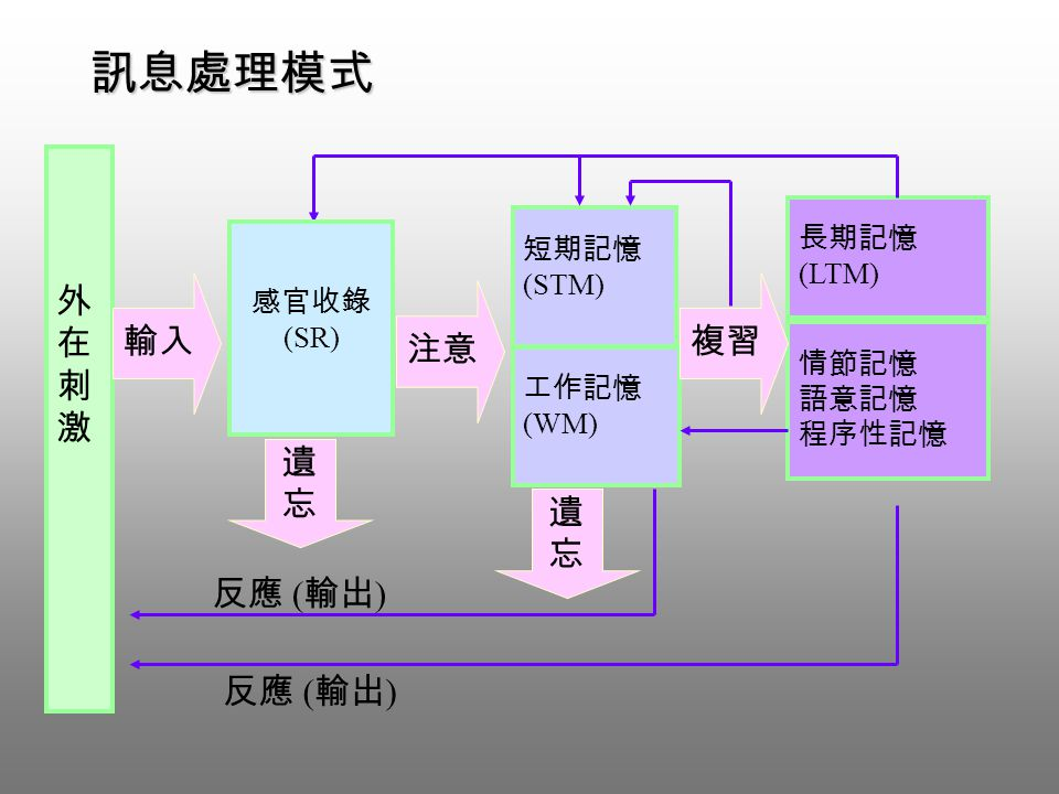 5 由訊息處理理論(information processing theory)..-阿摩線上測驗