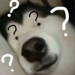 20張超好笑【問號哈士奇】梗圖！快來看看網友們的搞笑創作！
