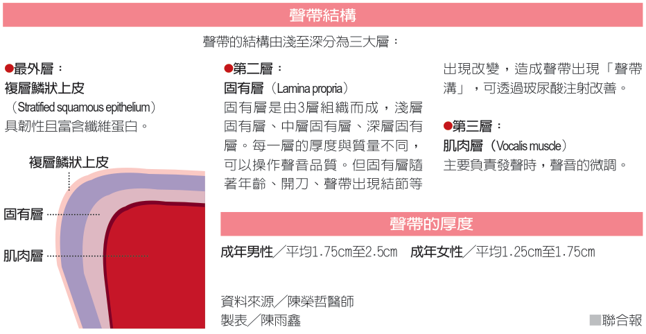 聲帶受損怎麼辦？醫師教你分辨可能是哪種疾病｜耳鼻喉｜科別｜元氣網