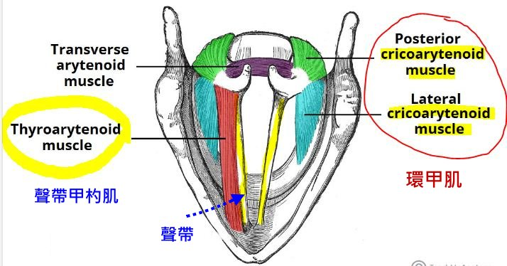 f_27297322_1.JPG