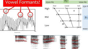 共振峰频率-- 微课程_哔哩哔哩_bilibili