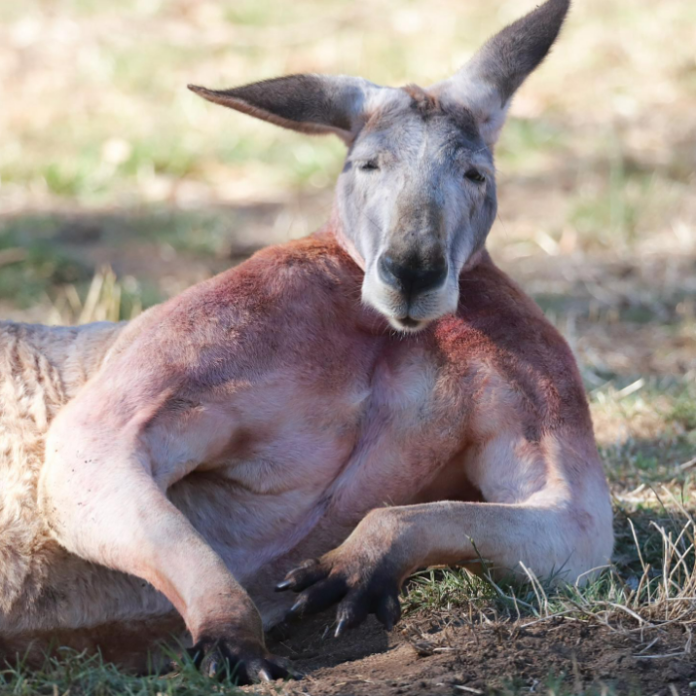 2023-03-06_180246.webp?resize=696%2C696&ssl=1