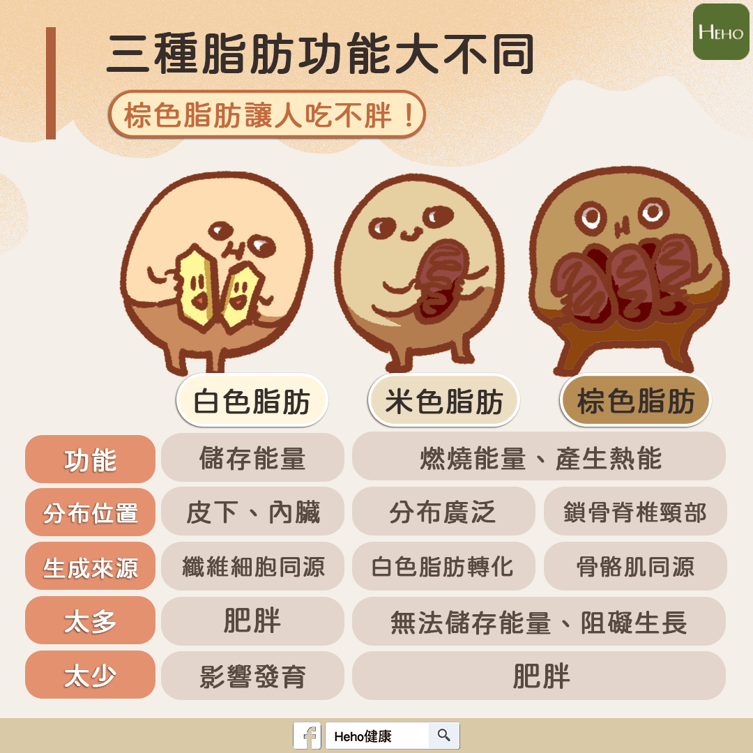 99f519db0135b5c00c13eadb3bbe9e1c