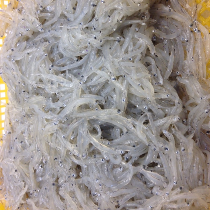 1c3eaaa5cdfb83b9832e44cba6a947a7