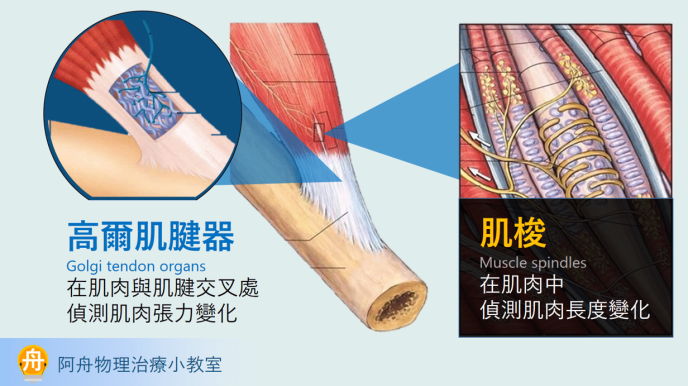 vibration11.png?resize=688%2C386&ssl=1