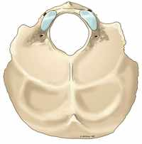 a6872443a15d2a1260be68f351ba784434278301cc5b123b833ce328a5c9d997?w=200&mark-x=0&mark-y=-13.17&mark64=aHR0cHM6Ly93d3cuaW1haW9zLmNvbS9pL3MvaW1haW9zLWltYWdlcy90cmEucG5nP3c9MjAwJmg9MjE2LjE3JmZpdD1zY2FsZSZtYXJrLXg9MTEzLjM4Jm1hcmsteT0wLjAwJm1hcms2ND1hSFIwY0hNNkx5OTNkM2N1YVcxaGFXOXpMbU52YlM5cEwzTXZhVzFoYVc5ekxXbHRZV2RsY3k5d2FXNHVjRzVu&pad-top=13.17&bg=FFFFFF