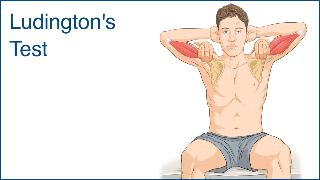 752174911-4513d38841a5533c869a77c8a0edddea16f39c0723ea0d99fb4cee239e9e9f9d-d?f=webp