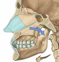 4fad1ab61c5fb5136d11357a897bfcddce2b6f7997cd20a648bdf287c76172c3?w=200&mark-x=0&mark-y=0&mark64=aHR0cHM6Ly93d3cuaW1haW9zLmNvbS9pL3MvaW1haW9zLWltYWdlcy90cmEucG5nP3c9MjAwJmg9MjA5JmZpdD1zY2FsZSZtYXJrLXg9MTQxLjM4Jm1hcmsteT0zMC4zNSZtYXJrNjQ9YUhSMGNITTZMeTkzZDNjdWFXMWhhVzl6TG1OdmJTOXBMM012YVcxaGFXOXpMV2x0WVdkbGN5OXdhVzR1Y0c1bg%3D%3D