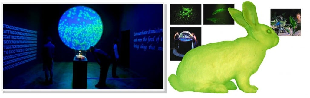 eduardo_kac_bioart_alba_gfp_genesis_synbio_cypher_edunia_transArt_bunny-1024x325.jpg