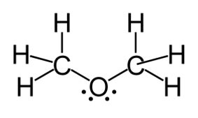 th?id=OSK.5a638b5c57ae09d56d1bc88360f35a57&w=120&h=86&c=7&pcl=1b1a19&o=6&oif=webp&pid=SANGAM