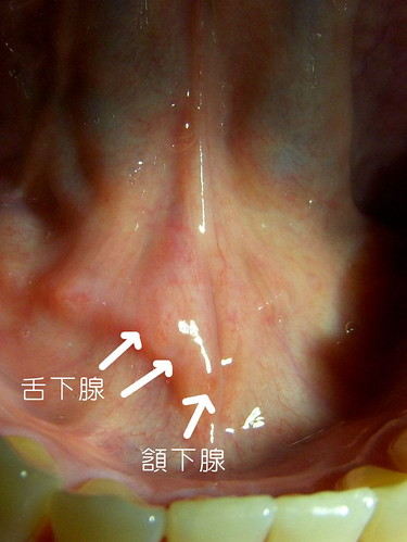 3074620958_59142aca6b.jpg