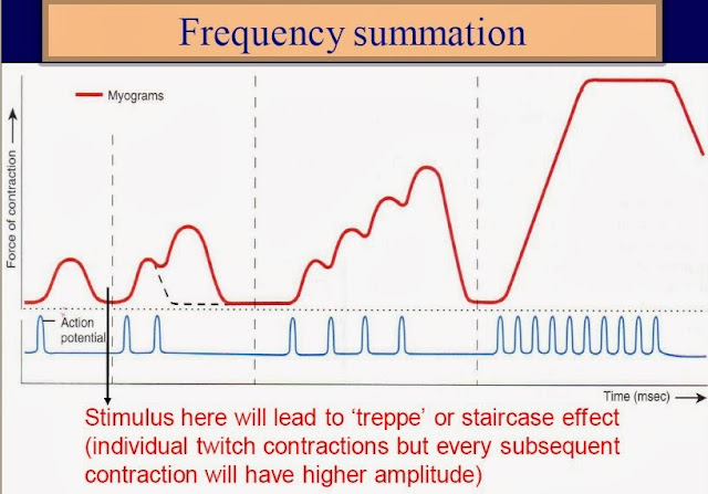 frequency-summation.jpg