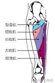 images?q=tbn:ANd9GcRxCPeJkzjjiwG22Ge9pN6-GzjqJ7zEQD-Dgg&usqp=CAU