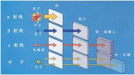 20220111045206555.png