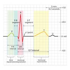 images?q=tbn:ANd9GcQOThF3H260eWW84sM8e9RtUy7w1Bh5q9h0sFCCtCprvQ&s