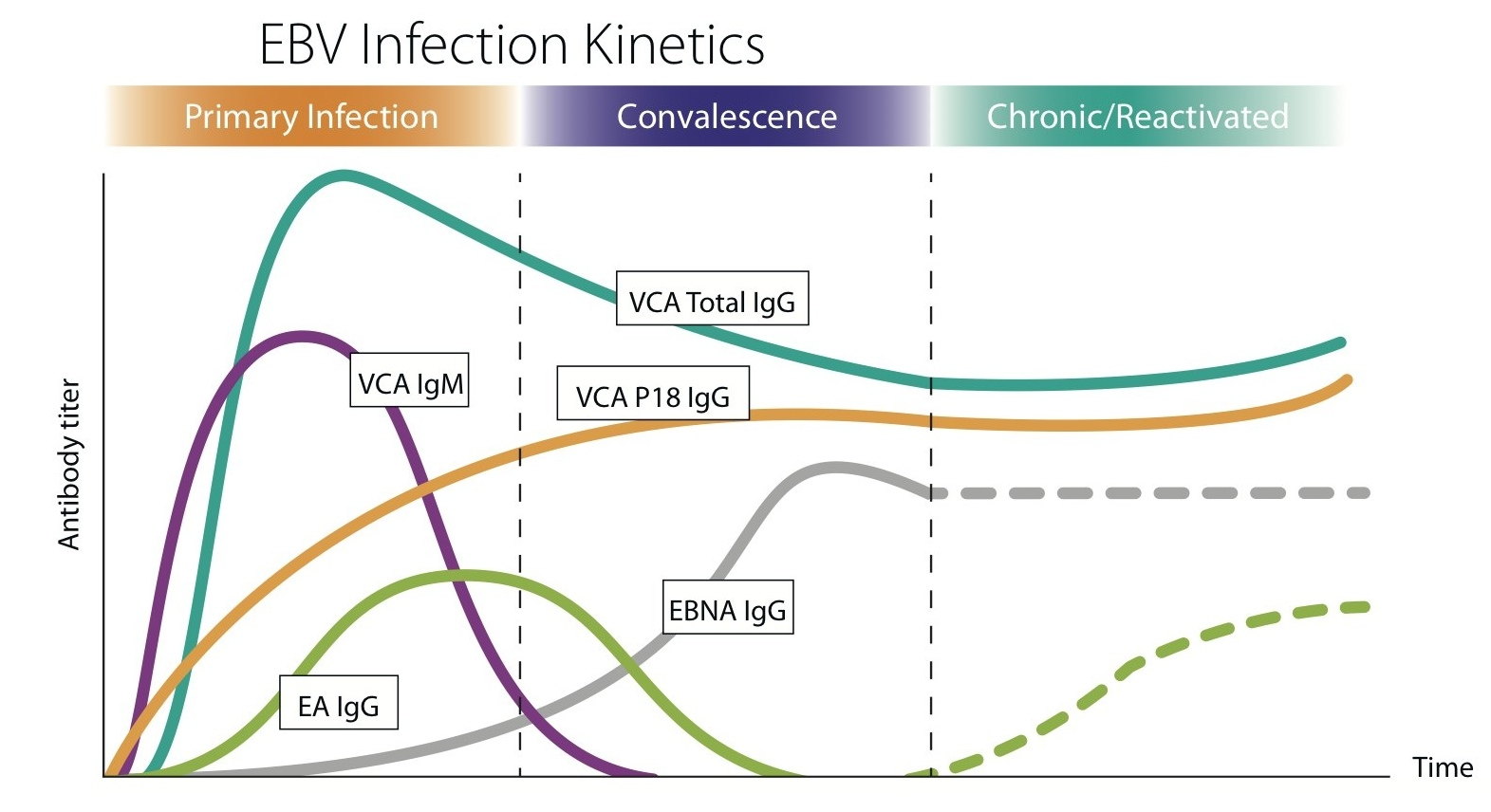 R.a27e0d18f73ae6a6767f1a764ce6c728?rik=J6Jwu1uopC%2B4ZA&riu=http%3A%2F%2Fwww.cyto-barr.com%2Fimages%2Fgraph_44.jpg&ehk=159qyvHLw%2B%2FlMtxPteeJG68N2z6D2Do%2FuCInEdKnVVY%3D&risl=&pid=ImgRaw&r=0