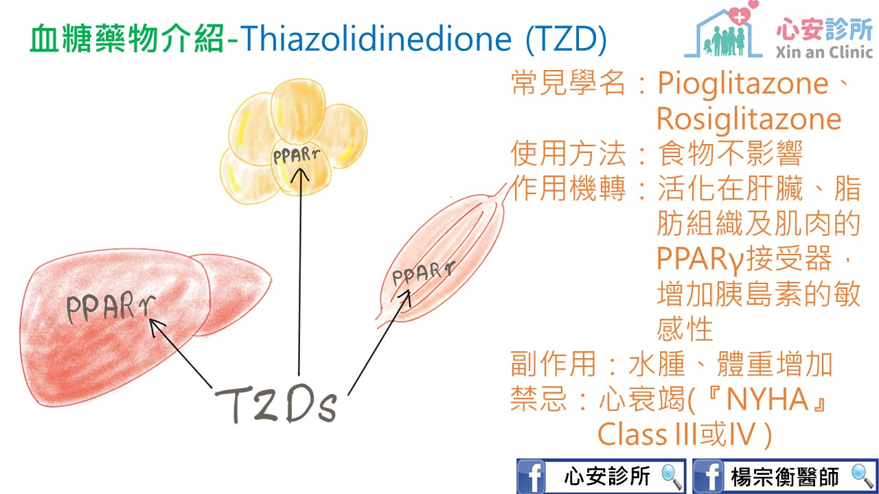 tzd.jpg?fit=1280%2C720&ssl=1